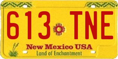 NM license plate 613TNE