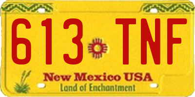 NM license plate 613TNF