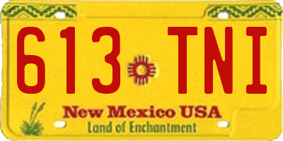 NM license plate 613TNI
