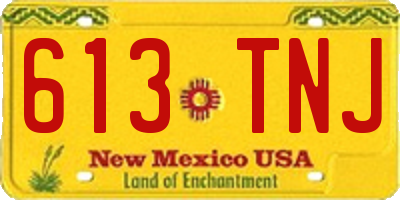 NM license plate 613TNJ