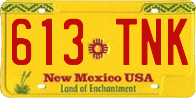 NM license plate 613TNK