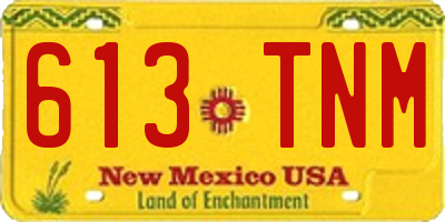 NM license plate 613TNM