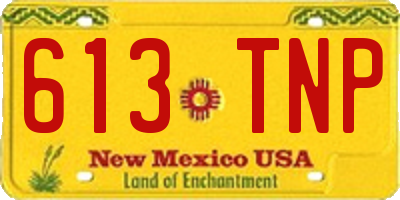NM license plate 613TNP