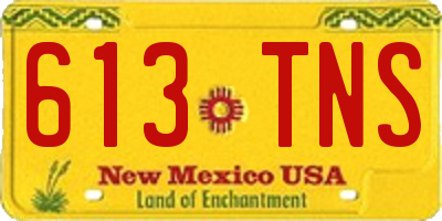 NM license plate 613TNS