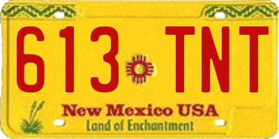 NM license plate 613TNT