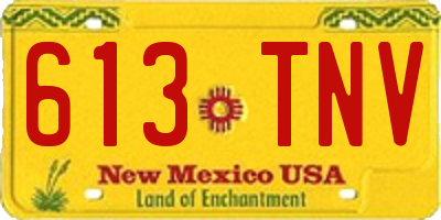NM license plate 613TNV