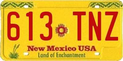 NM license plate 613TNZ