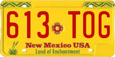 NM license plate 613TOG