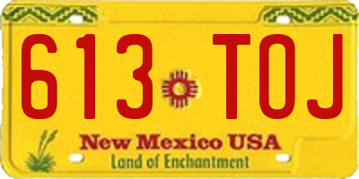 NM license plate 613TOJ