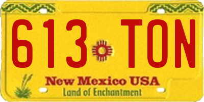 NM license plate 613TON