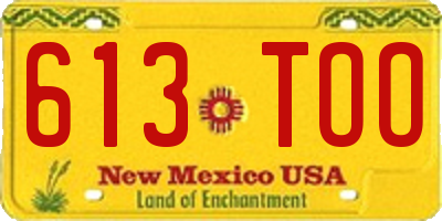NM license plate 613TOO