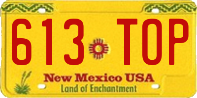 NM license plate 613TOP