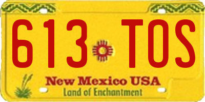 NM license plate 613TOS