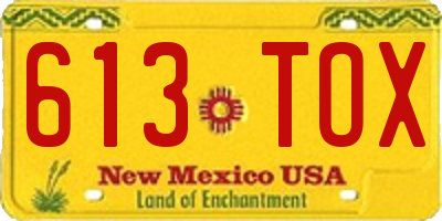 NM license plate 613TOX