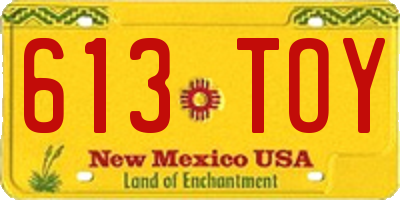 NM license plate 613TOY