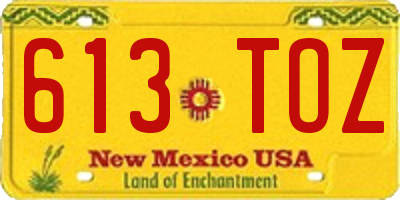 NM license plate 613TOZ
