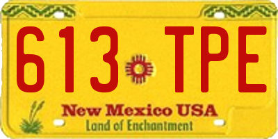 NM license plate 613TPE