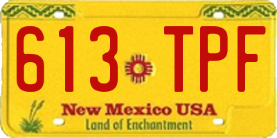 NM license plate 613TPF