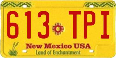 NM license plate 613TPI