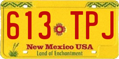 NM license plate 613TPJ