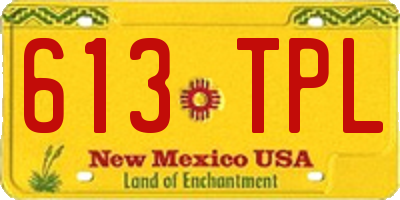 NM license plate 613TPL