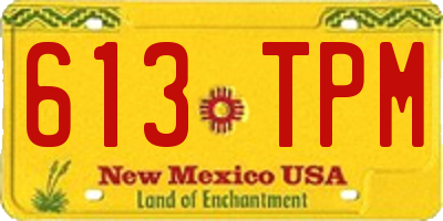 NM license plate 613TPM