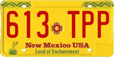 NM license plate 613TPP