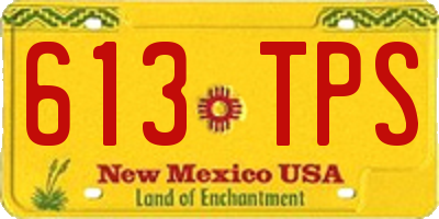 NM license plate 613TPS