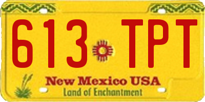 NM license plate 613TPT