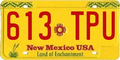 NM license plate 613TPU