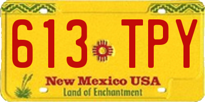 NM license plate 613TPY