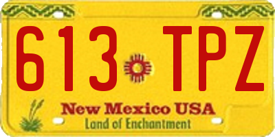 NM license plate 613TPZ