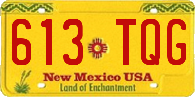 NM license plate 613TQG