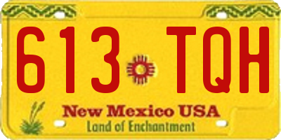NM license plate 613TQH
