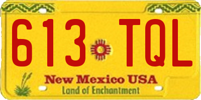 NM license plate 613TQL