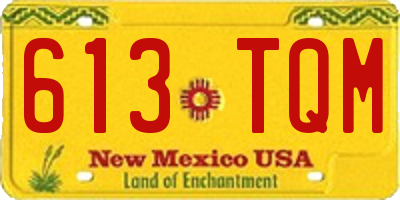NM license plate 613TQM