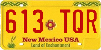 NM license plate 613TQR