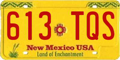 NM license plate 613TQS