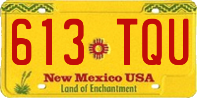 NM license plate 613TQU
