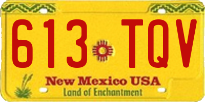 NM license plate 613TQV