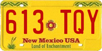 NM license plate 613TQY