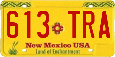 NM license plate 613TRA