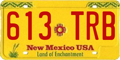 NM license plate 613TRB