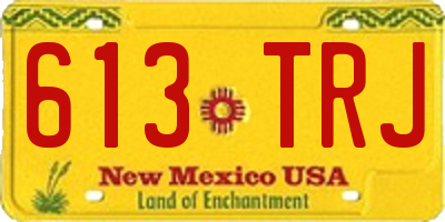 NM license plate 613TRJ
