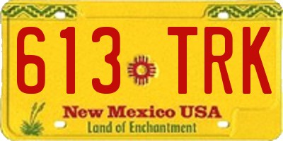 NM license plate 613TRK