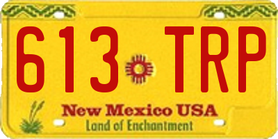 NM license plate 613TRP