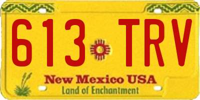 NM license plate 613TRV