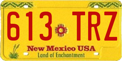 NM license plate 613TRZ