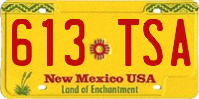 NM license plate 613TSA
