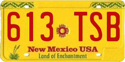 NM license plate 613TSB